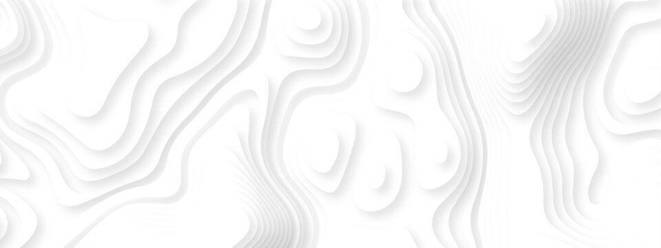 Abstract background vector Abstract wavy line 3d paper cut white background. Abstract pattern with lines. Abstract sea map geographic contour map and topographic contours map background.