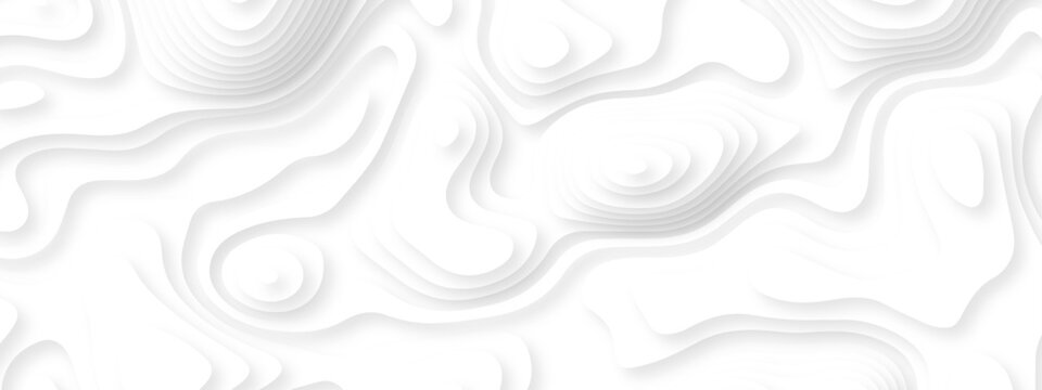 Abstract background vector Abstract wavy line 3d paper cut white background. Abstract pattern with lines. Abstract sea map geographic contour map and topographic contours map background.