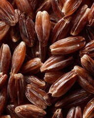 Fototapeta premium Closeup Texture Of Roasted Whole Grains In Bulk