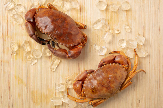 Overhead of two live crabs on a light wooden board with ice