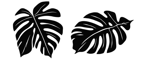 Black monstera tropical leaves silhouette isolated on transparent background, botanical jungle foliage design element for nature and tropical vector illustration. © Arun