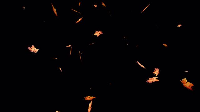 falling maple autumn leaves loop animation, perfect for compositing, motion nature scene on alpha channel. 4K Video