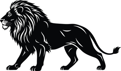 Black lion standing with long mane and tail white animal mammal © Borhan Creatives