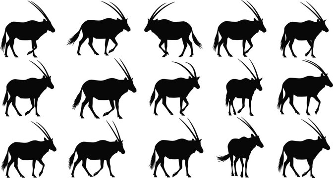 Oryx silhouette set, gemsbok antelope walking, african wildlife animal icons, desert gazelle silhouettes, wild nature safari travel elements, isolated vector silhouettes. (21 words)