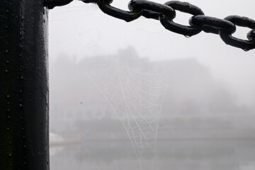 Fototapeta premium Spider web with dew on chain with fog copy space