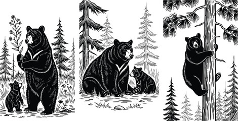 Black and white vector illustration of a majestic male lion standing with two cubs, wildlife family silhouette, isolated on white. © Rahim 