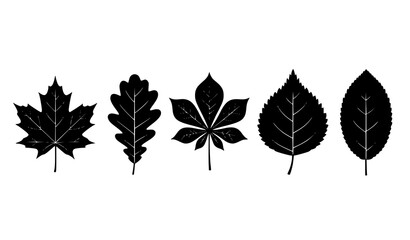 Black and white tree leaves silhouette set botanical vector illustration isolated © Opurbo