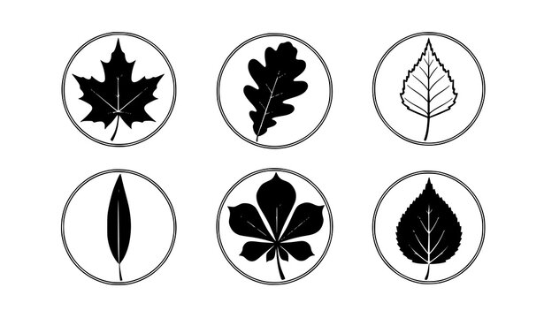 Botanical tree leaves icon set black silhouette and contour vector