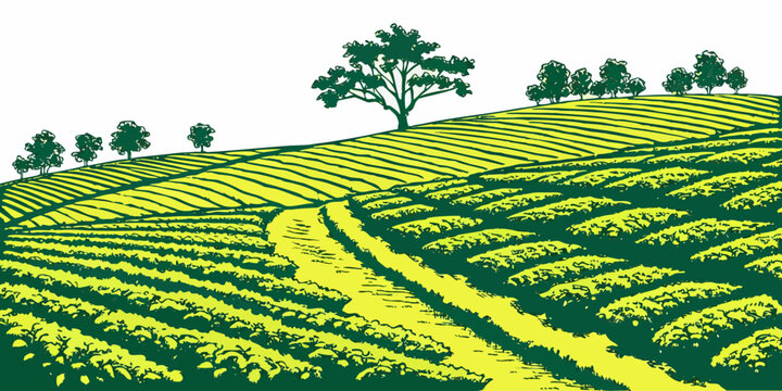 A green tea field with trees on a hill Vector