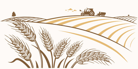 A brown illustration of wheat on a white background Vector ©  MST RABEYA  BEGUM