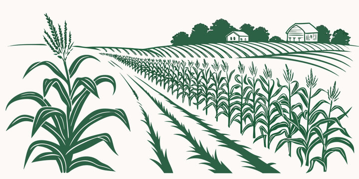 A green illustration of a corn field with trees in the background Vector