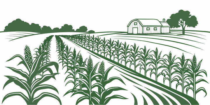 A green illustration of a cornfield with a farmhouse Vector