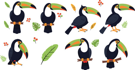 Obraz premium Toucan Vector Illustration Set Featuring Colorful Tropical Birds with Large Beaks in Perching and Standing Poses for Exotic Wildlife Graphics and Jungle Nature Designs.