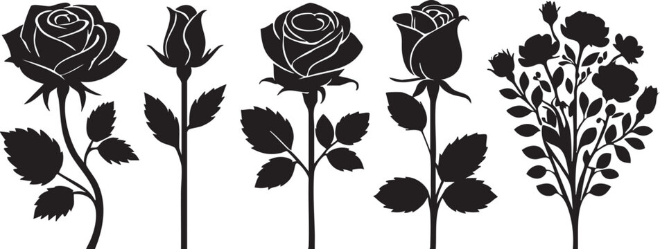 Black rose vector set: floral silhouette graphics for design projects eps
