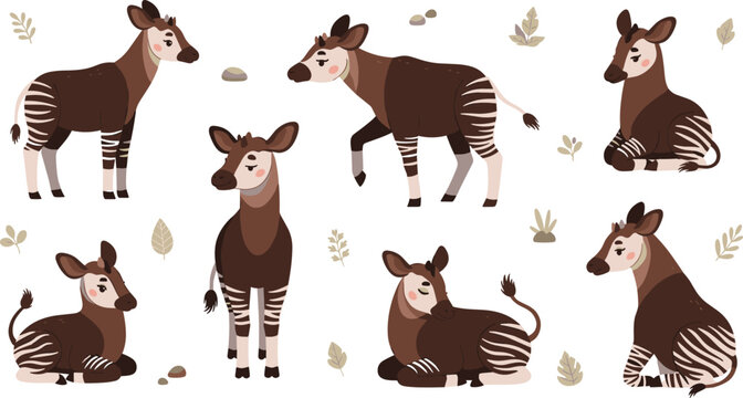 Okapi Wildlife Illustration Set Featuring African Okapis Standing, Walking, and Resting with Striped Legs in Forest Nature Design.