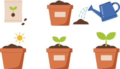 plant growth stages illustration, seed planting watering pot sunlight seedling gardening process vector agriculture plant lifecycle icons © Menara
