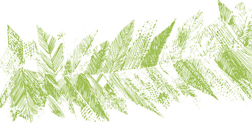 Green fern leaf pattern with textured hatching lines on white background © miht3325