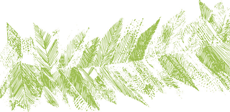 Green fern leaf pattern with textured hatching lines on white background