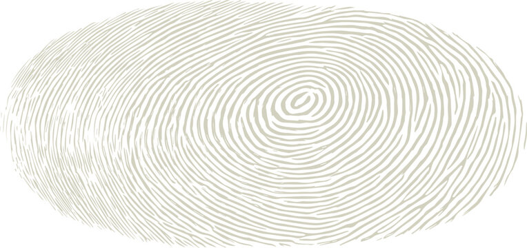 Beige fingerprint pattern with concentric oval ridges on a white background
