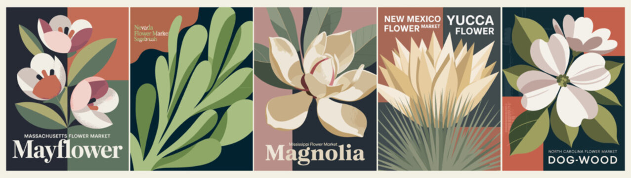 Set of retro botanical posters featuring USA state flowers from Massachusetts, Nevada, Mississippi, New Mexico, and North Carolina in a bold mid-century flat vector style.