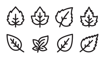 Fototapeta premium Collection of different leaf outlines simple line art isolated on white background