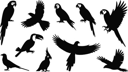 A diverse collection of black silhouette illustrations of various tropical birds including parrots and a toucan © Its me...