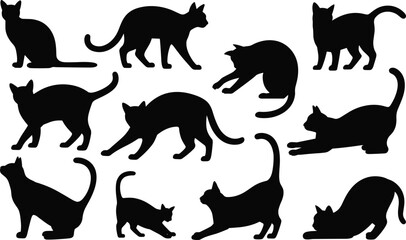 Diverse Black Silhouettes of Cats in Various Poses and Actions on a White Background feline © Its me...