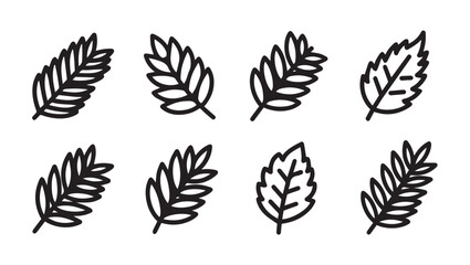 Fototapeta premium Collection of Black Outline Leaf Icons on White Background Simple Botanical Elements