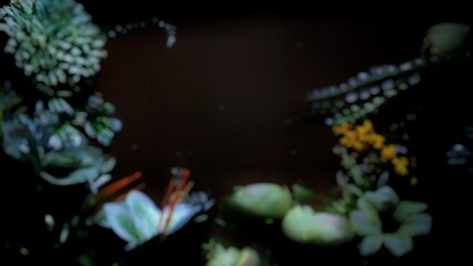 Fototapeta premium blurry photo of black background with flower decoration 
