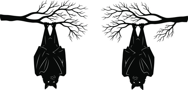 Set of black bat silhouettes hanging upside down from tree branches isolated on white background, spooky animal icons for Halloween design