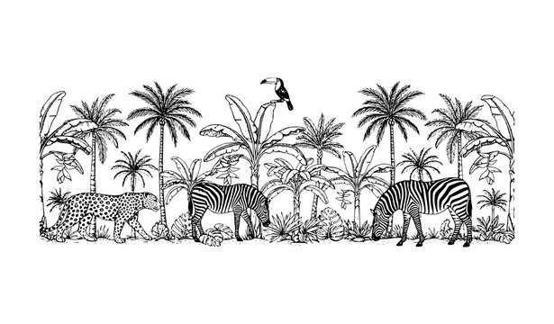 Vintage tropical jungle toile border with palm banana plants leopard zebra and toucan vector illustration