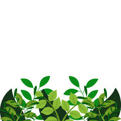 Fototapeta premium Forest Leaves Border