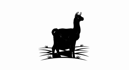 Fototapeta premium Silhouette of a llama standing on grass