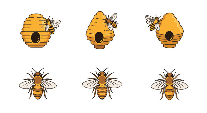 Bees and bee hives insects.