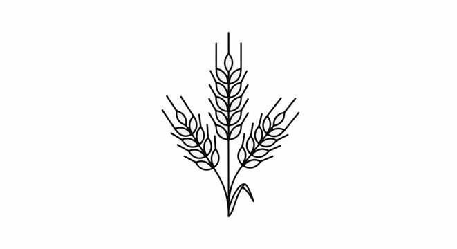 Simple black line drawing of three wheat stalks on a white background