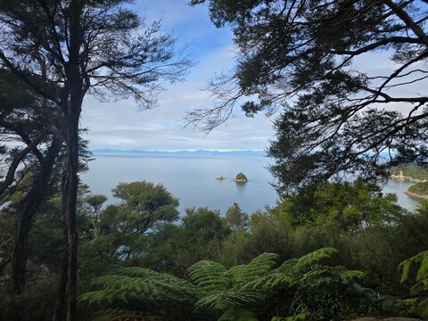A View of the Ocean Bay from the Forest