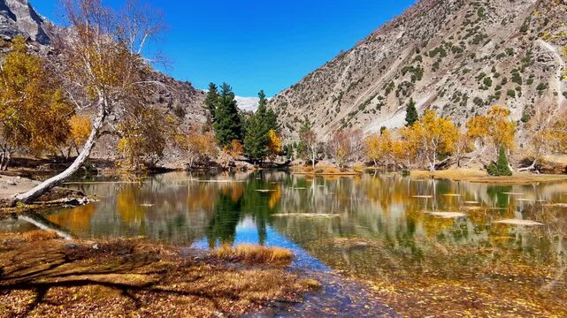 Autumn Mountain Lake With Golden Trees and Beautiful Reflections, Satrangi Lake, Naltar Valley Pakistan