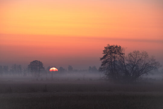 Sonnenaufgang &uuml;ber einer Nebellandschaft der Norddeutschen Tiefebene mit Feldern und B&auml;umen