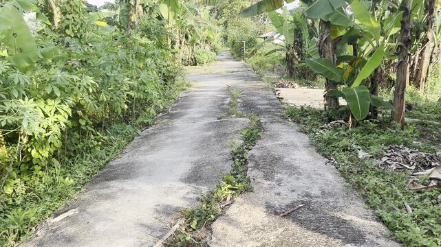 Severely cracked concrete road in a rural tropical village area