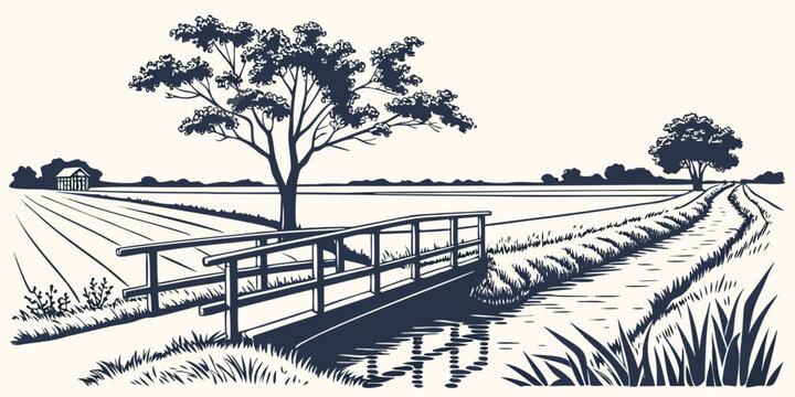 A small bridge over a stream in a rural landscape Vector