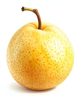 Fresh Asian Pear - A Crisp and Juicy Delight on White Background.