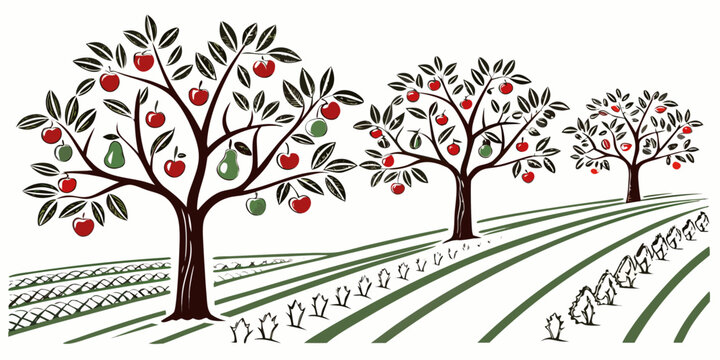 An illustration of an apple orchard with trees and rows Vector