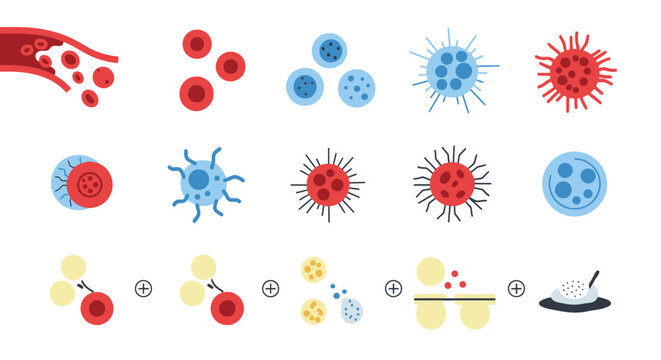 Collection of scientific illustrations depicting red blood cells, platelets, and white blood cells in various stages and formations