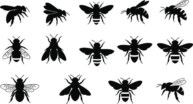 Bee insect silhouette collection with honeybee pollinators flying in different poses, detailed wings wildlife nature vector illustration set