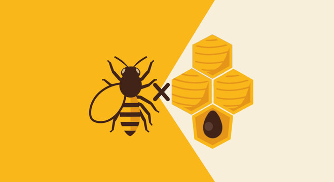 Bee collecting nectar from honeycomb cells.