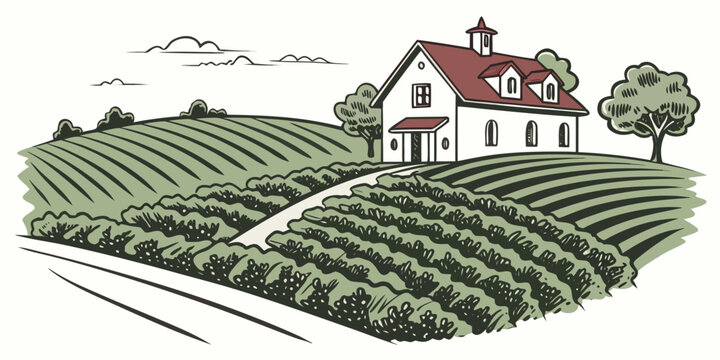 A white house with a red roof surrounded by a vineyard Vector