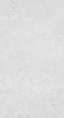 Fototapeta premium Subtle White Texture Background for Modern Design Projects.