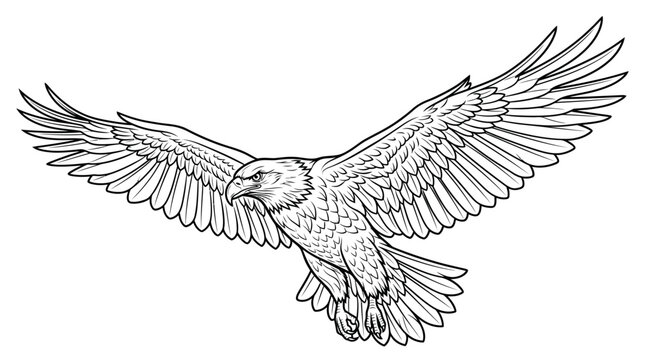 Eagle in flight with wings spread.