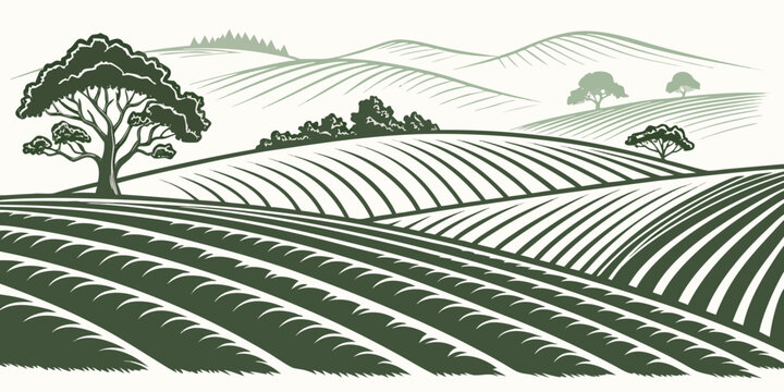 A green illustration of a field with rows of crops and a tree Vector