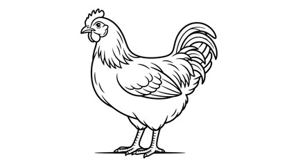 A Rooster Poultry Farm Animal. © Suro